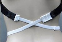 Cliquer pour agrandir